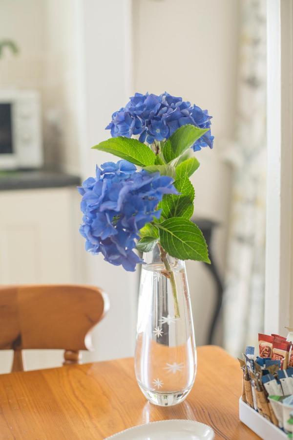 Pant-Y-Celyn Studio Apartment Aberaeron Extérieur photo