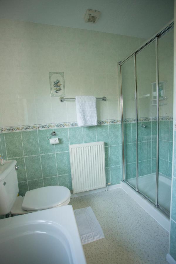 Pant-Y-Celyn Studio Apartment Aberaeron Extérieur photo